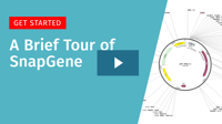 [Thumb with Play] SG0.1 brief-tour-of-snapgene