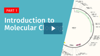 SG-Introduction-to-Molecular-Cloning-playbutton