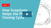 SG-how-snapgene-helps-the-plasmid-cloning-cycle-playbutton