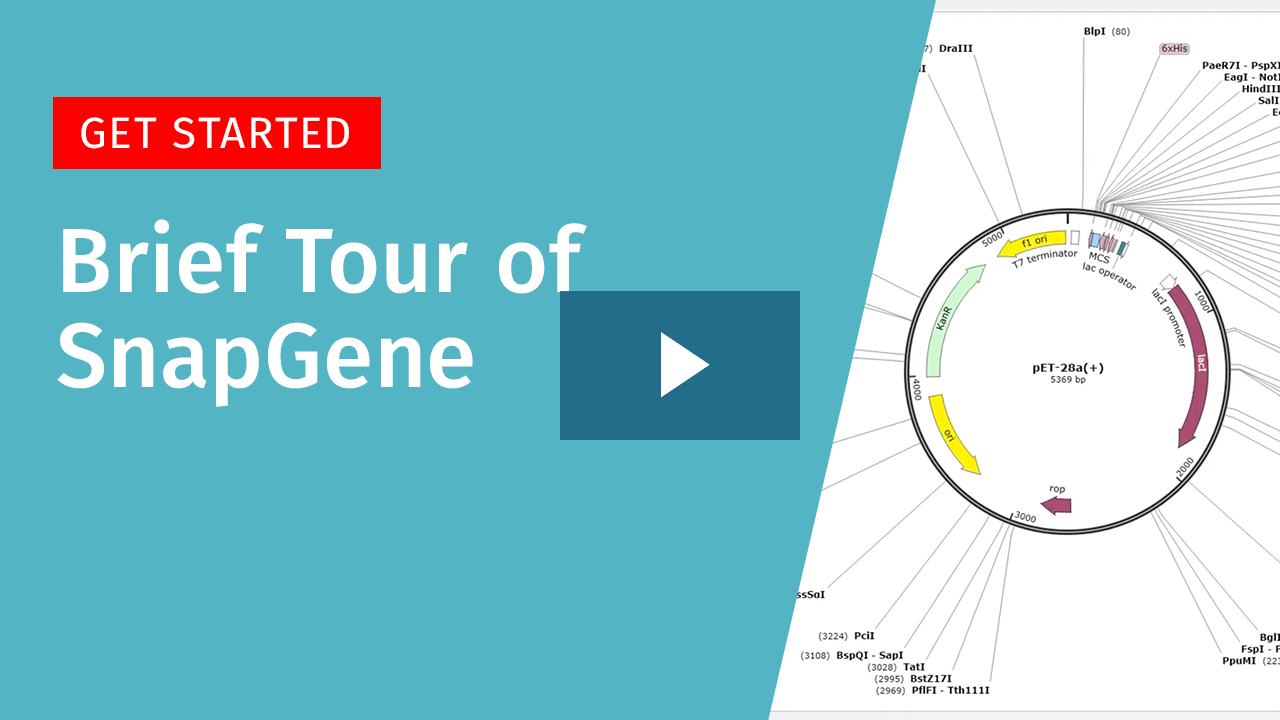 Getting Started How to Create, Open and Import a File
