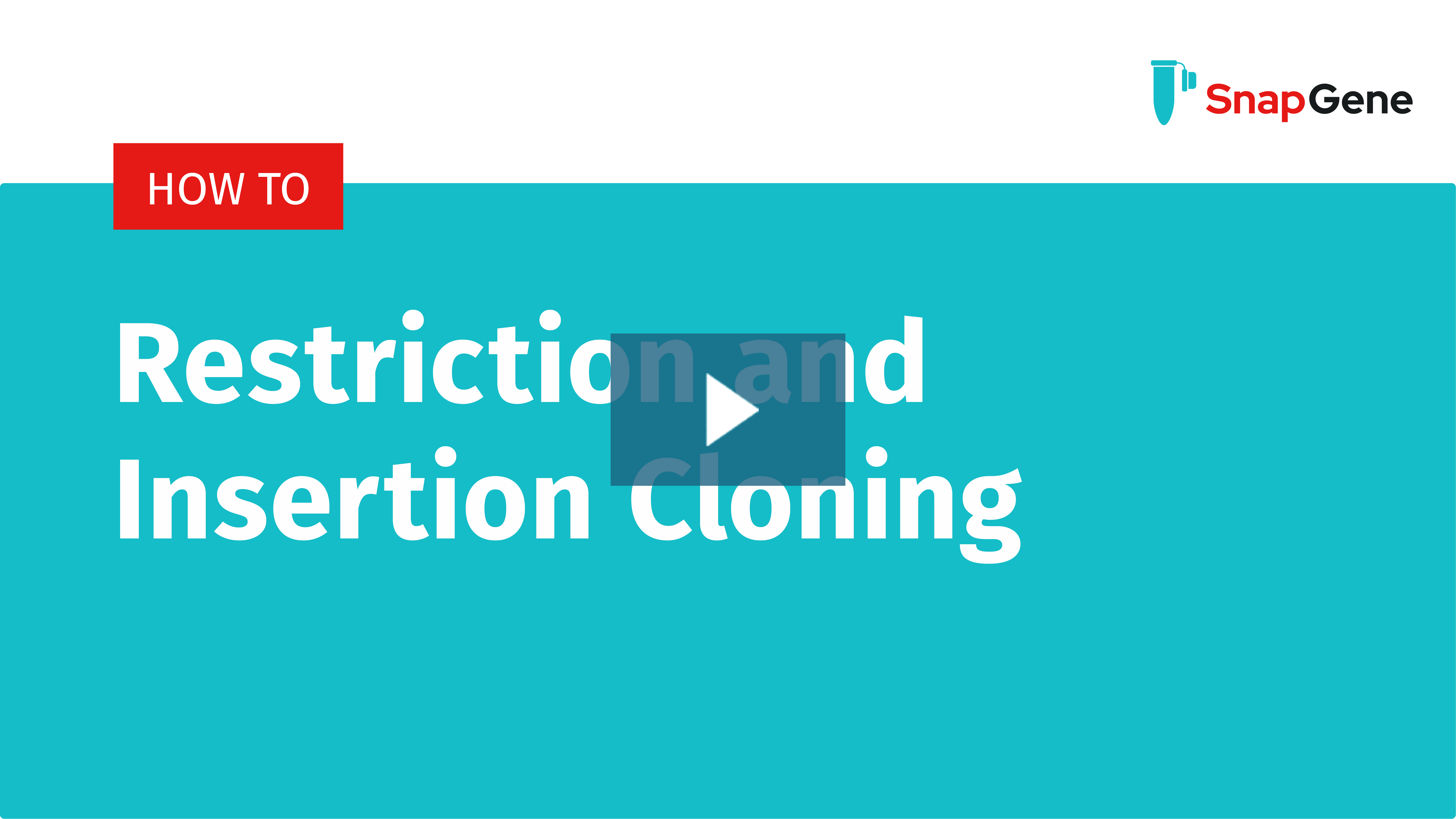 Restriction and Insertion Cloning