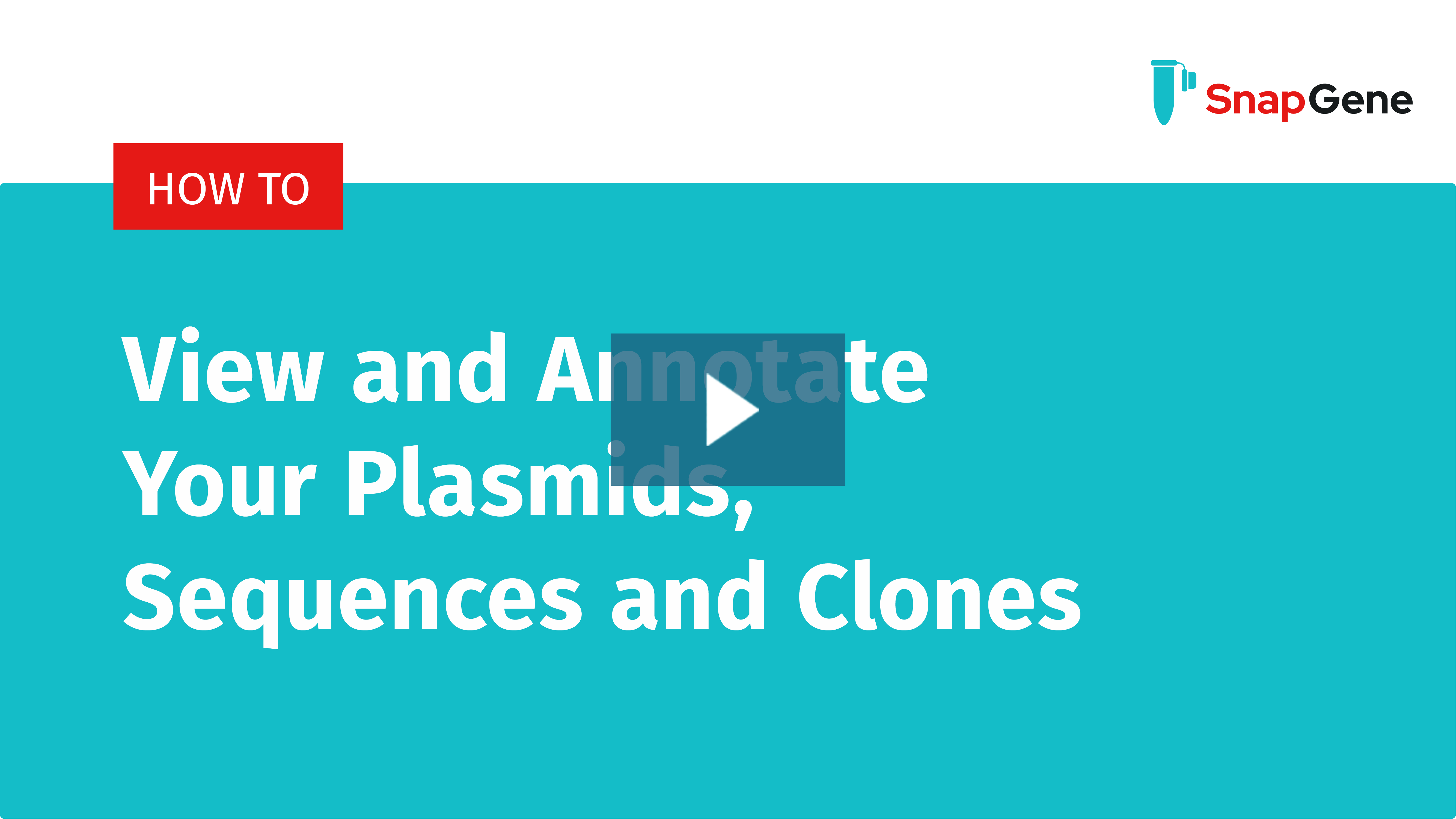 View and Annotate Your Plasmids, Sequences and Clones